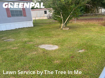 Lawn Care nearby Jacksonville, NC, 