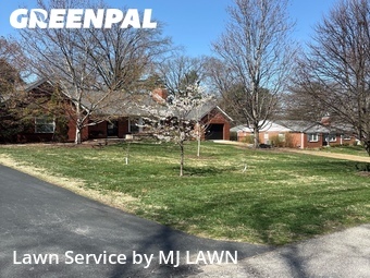 Lawn Mow nearby Affton, MO, 