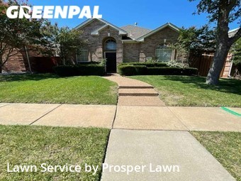 Lawn Service nearby Plano, FL, 