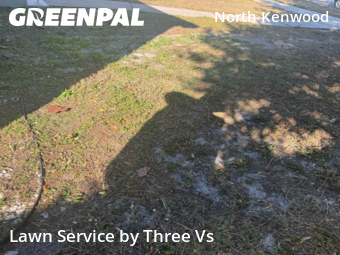 Landscape Design In St. Petersburg,33713,Landscape Design by Three Vs , work completed in Feb , 2026