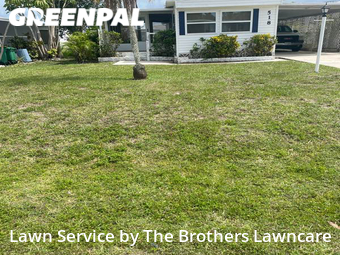 Grass Cut nearby Naples, FL, 