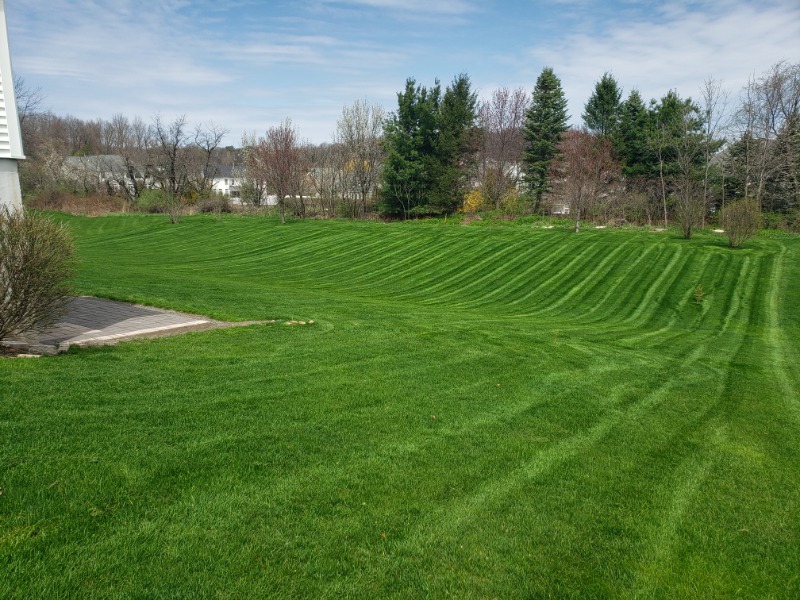 local-lawn-care-services-in-Yonkers-NY