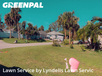 Lawn Cut nearby Venice, FL, 