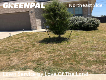 Grass Cutting nearby Converse, TX, 