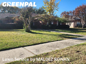 Yard Management in Coppell, 75019, Lawn Care by MALDEZ RONAN, work completed in Dec , 2025