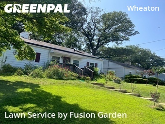 Yard Mowing nearby Silver Spring, MD, 
