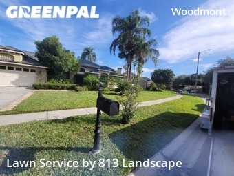 Grass Cut nearby Tampa, FL, 