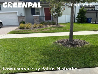 Lawn Mowing nearby Tampa, FL, 