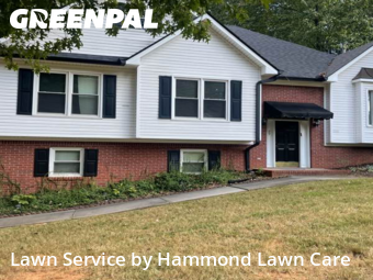 Grass Care in Cartersville, 30120, Yard Services by Hammond Lawn Care, work completed in Nov , 2025