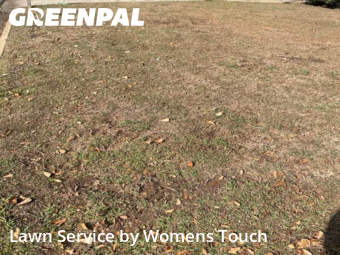 Yard Cutting in Tuscaloosa, 35401, Lawn Management by Womens Touch, work completed in Dec , 2025