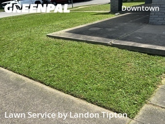 Landscaping Renovation In Little Rock,72201,Landscaping Renovation by Landon Tipton, work completed in Jun , 2026