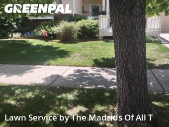 Lawn Maintenance nearby Timnath, CO, 
