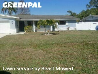 Grass Cut nearby St. Petersburg, FL, 