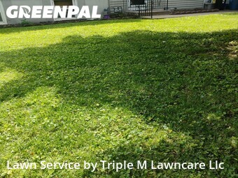 Lawn Mow nearby Liberty, MO, 