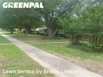 Grass Cut nearby Coppell, TX, 