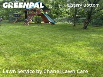 Yard Cutting nearby Columbus, OH, 