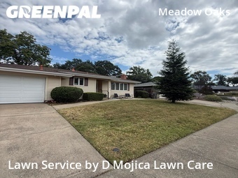 Yard Mowing nearby Roseville, CA, 