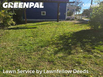 Grass Cut nearby Cincinnati, OH, 