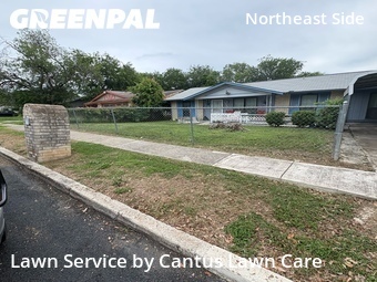 Lawn Cutting nearby San Antonio, TX, 