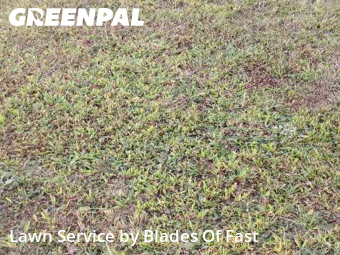 Yard Grooming in Fairburn, 30213, Lawn Care by Blades Of Fast, work completed in Nov , 2025