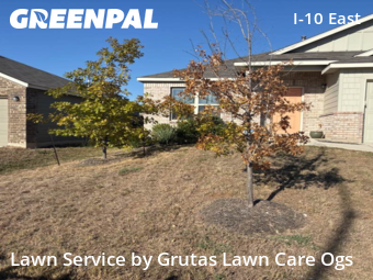 Yard Cutting nearby Converse, TX, 