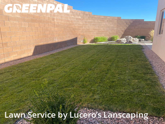 Lawn Cut nearby Albuquerque, NM, 