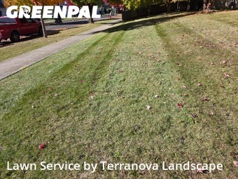 Lawn Services in Montgomery, 60538, Yard Management by Terranova Landscape, work completed in Nov , 2025