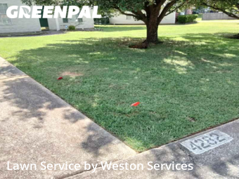 Lawn Cutting nearby Bessemer, AL, 