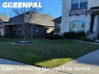 Lawn Cut nearby League City, TX, 
