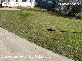 Yard Cutting nearby Houston, TX, 