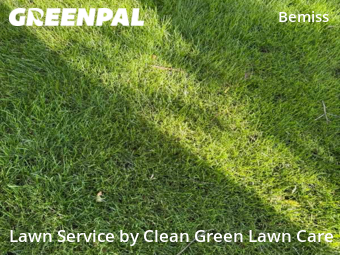 Grass Cut nearby Spokane, WA, 