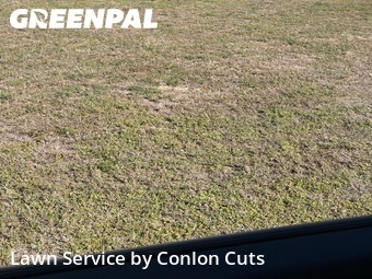 Lawn Cut nearby Bradenton, FL, 