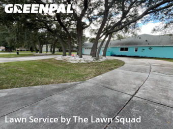 Grass Cut nearby Spring Hill, FL, 