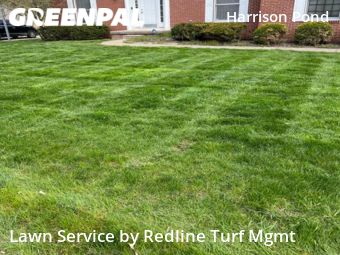 Lawn Mow nearby New Albany, OH, 