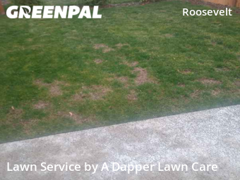 Lawn Mow nearby Bellingham, WA, 