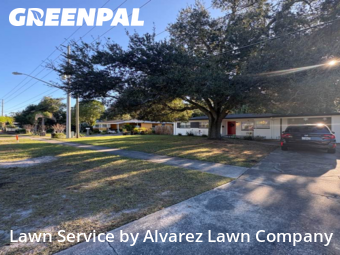 Lawn Maintenancein Winter Park,32792,Lawn Cut by Alvarez Lawn Company, work completed in Dec , 2025
