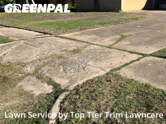 Lawn Cuttingin Irving,75060,Lawn Maintenance by Top Tier Trim Lawncare, work completed in Dec , 2025