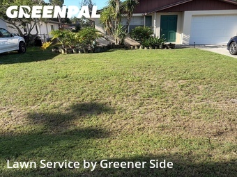 Grass Cut nearby Sarasota, FL, 