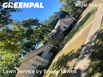 Lawn Mow nearby Plano, TX, 