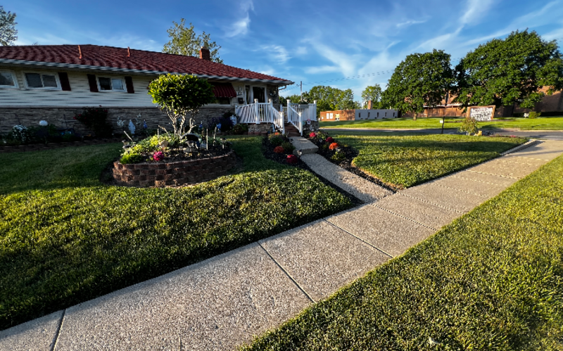 Work Image 1