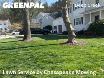 Lawn Cut nearby Chesapeake, VA, 