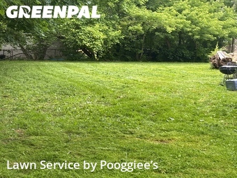 Yard Mowing nearby Lancaster, NY, 