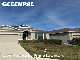 Lawn Mow nearby Wimauma, FL, 