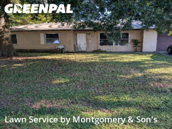 Lawn Mow nearby Lakeland, FL, 
