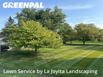 Lawn Cutting nearby Mokena, IL, 