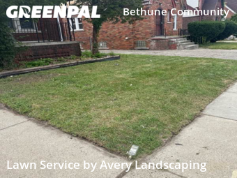Yard Cutting nearby Detroit, MI, 
