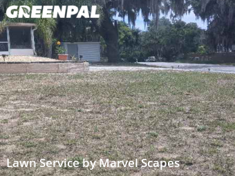 Yard Cutting nearby Montverde, FL, 