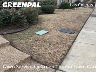 Lawn Cutin Irving,75039,Lawn Service by Green Thumb Lawn Care, work completed in Feb , 2026