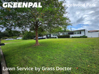 Modern Landscaping In Orlando,32807,Landscaping Installation by Grass Doctor, work completed in Nov , 2025