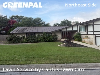 Grass Cutting nearby San Antonio, TX, 